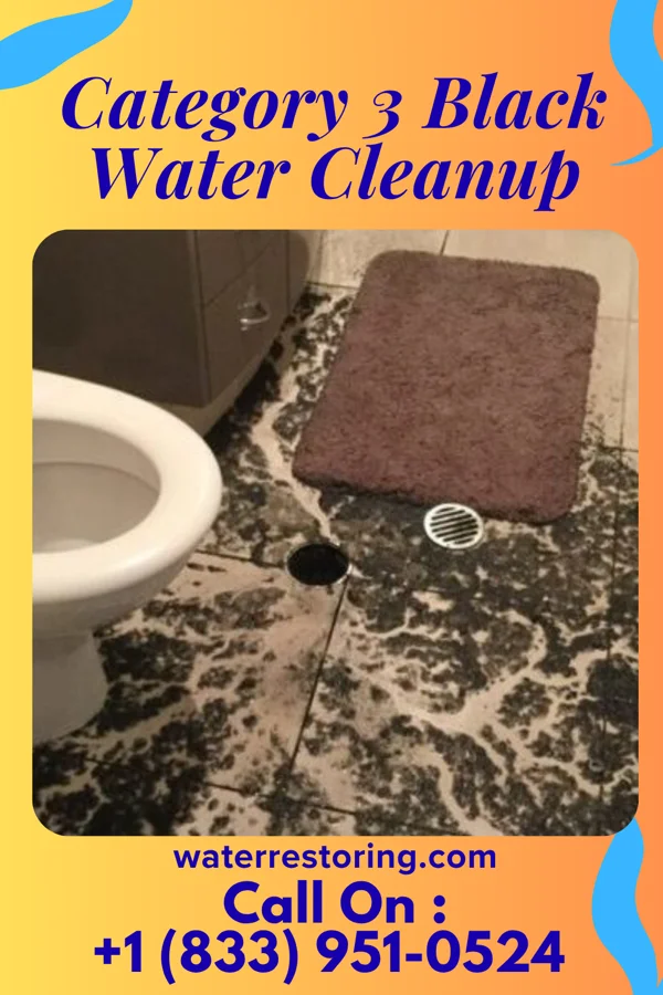 Category 3 Black Water Cleanup in Wood-Ridge, NJ