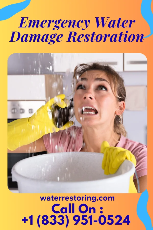 Emergency Water Damage Restoration in Wood-Ridge, NJ