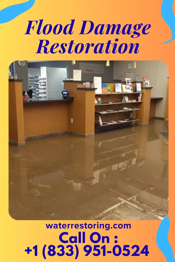 Flood Damage Restoration in Wood-Ridge, NJ