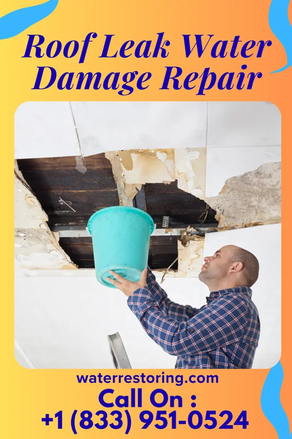 Roof Leak Water Damage Repair in Wood-Ridge, NJ