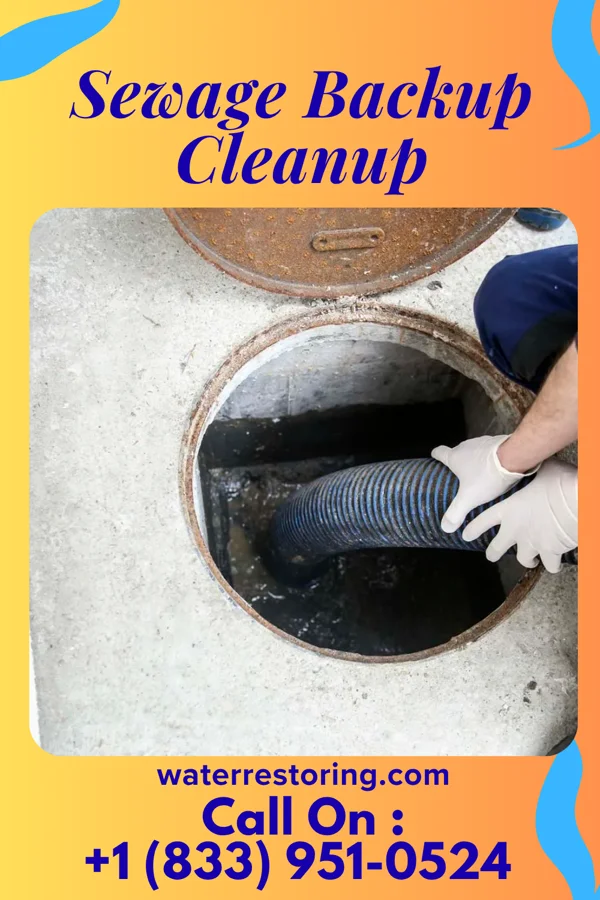 Sewage Backup Cleanup in Wood-Ridge, NJ