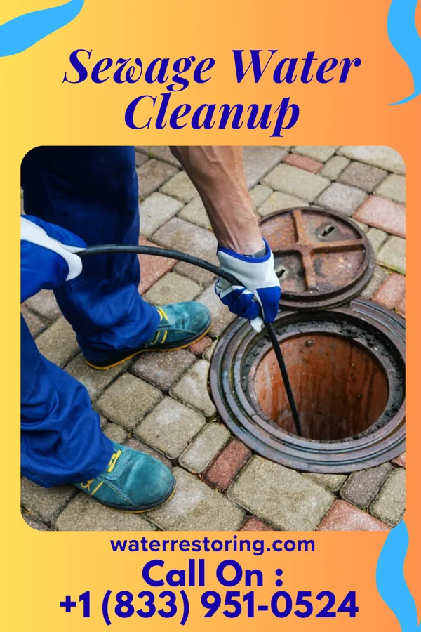 Sewage Water Cleanup in Wood-Ridge, NJ