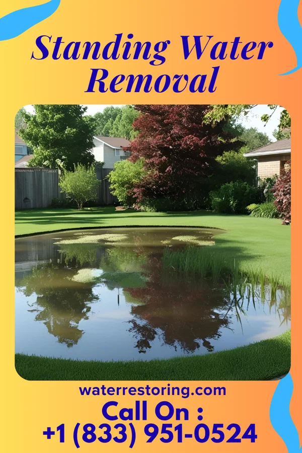 Standing Water Removal in Wood-Ridge, NJ